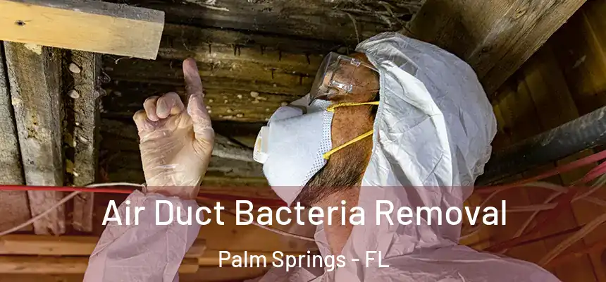  Air Duct Bacteria Removal Palm Springs - FL