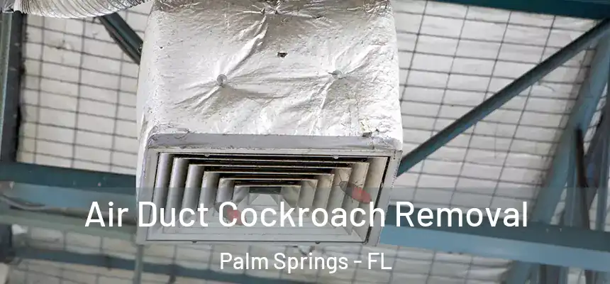  Air Duct Cockroach Removal Palm Springs - FL