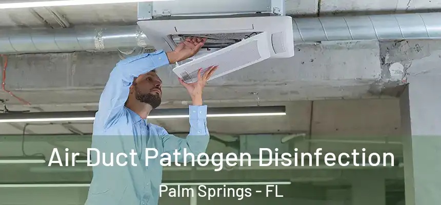  Air Duct Pathogen Disinfection Palm Springs - FL