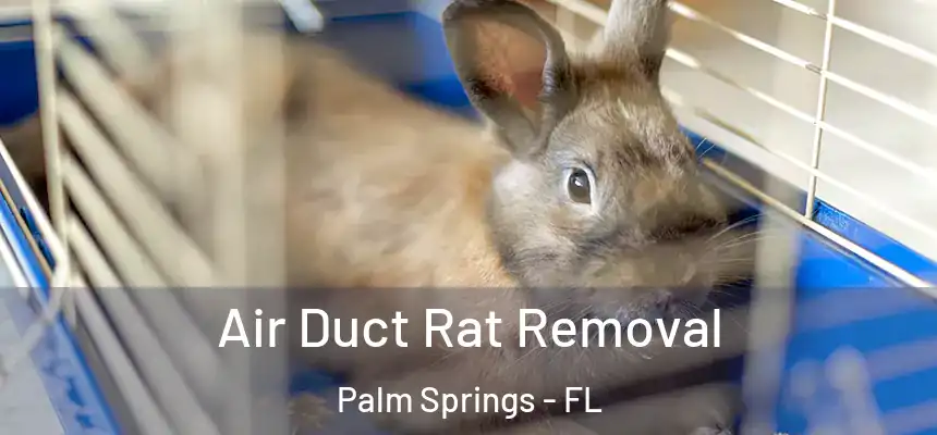  Air Duct Rat Removal Palm Springs - FL