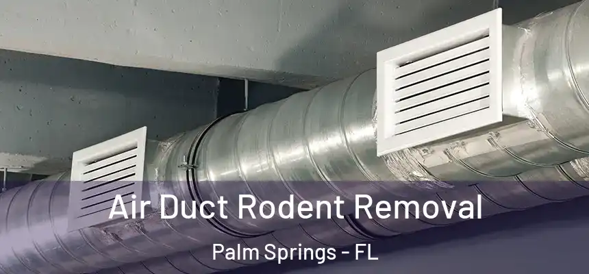  Air Duct Rodent Removal Palm Springs - FL