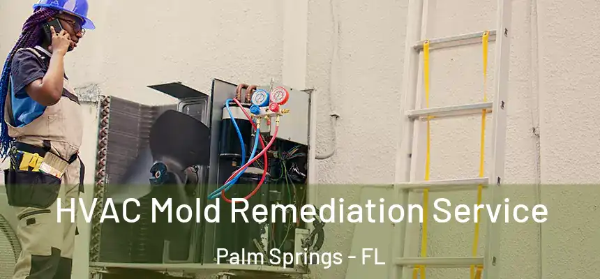 HVAC Mold Remediation Service Palm Springs - FL
