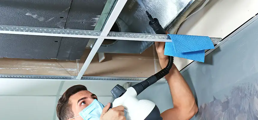 Our Air Duct Rodent Removal Services in Palm Springs, FL