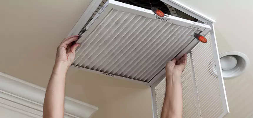 Our Insect Removal from Air Ducts Services in Palm Springs, FL