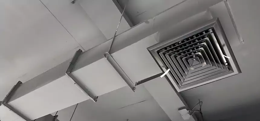 Our Rodent Droppings In Vents Services in Palm Springs, FL