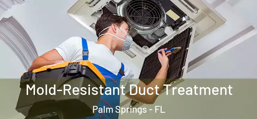  Mold-Resistant Duct Treatment Palm Springs - FL