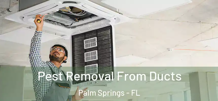  Pest Removal From Ducts Palm Springs - FL