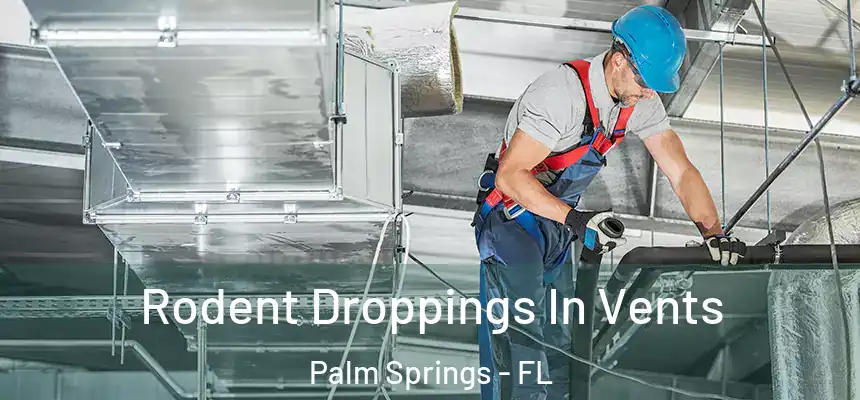 Rodent Droppings In Vents Palm Springs - FL