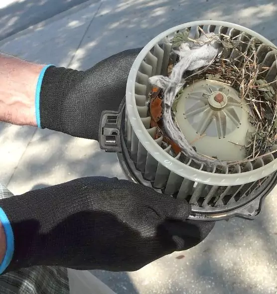 About Air Duct Mice Removal in Palm Springs, FL