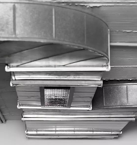 Professional Air Duct Pet Hair Removal in Palm Springs, FL