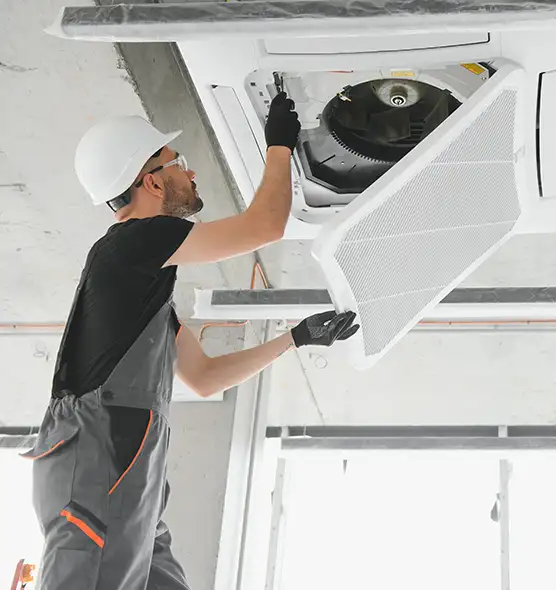 About Air Duct Rodent Removal in Palm Springs, FL