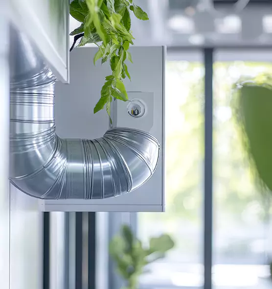 Professional Eco-Friendly Duct Cleaning Services in Palm Springs, FL