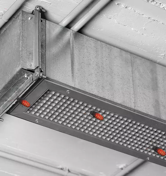 Affordable Insect Removal from Air Ducts in Palm Springs, FL