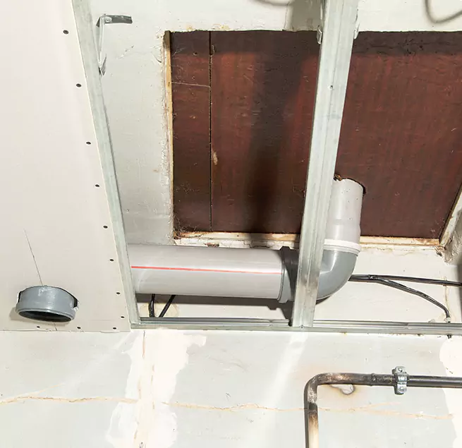 Why Homeowners & Businesses Trust Us in Palm Springs, FL?