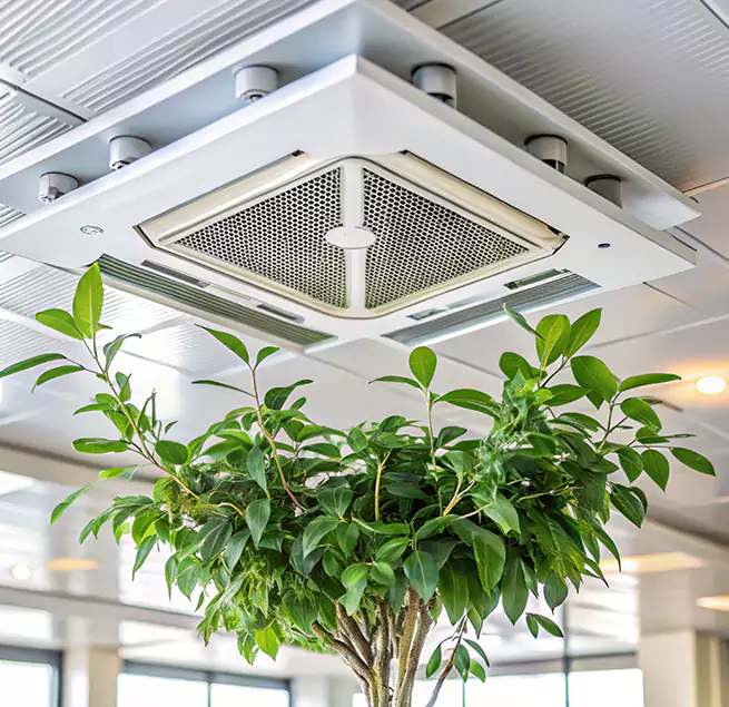 Why Homeowners & Businesses Trust Us in Palm Springs, FL?