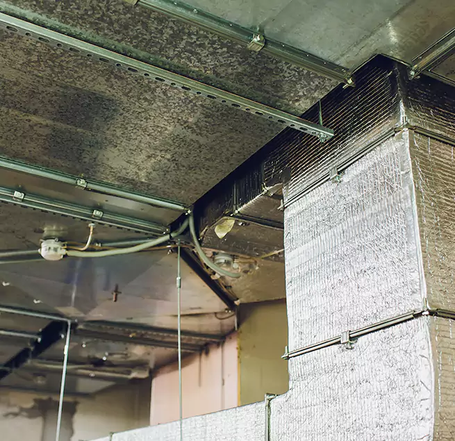 Why Homeowners & Businesses Trust Us in Palm Springs, FL?